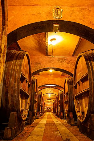 Cellar - Barrels - Wine